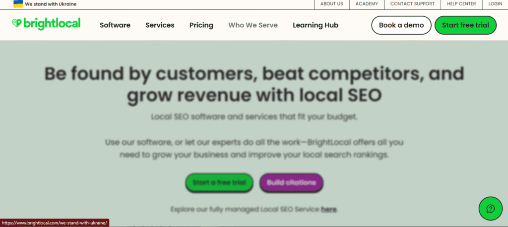BrightLocal BrightLocal