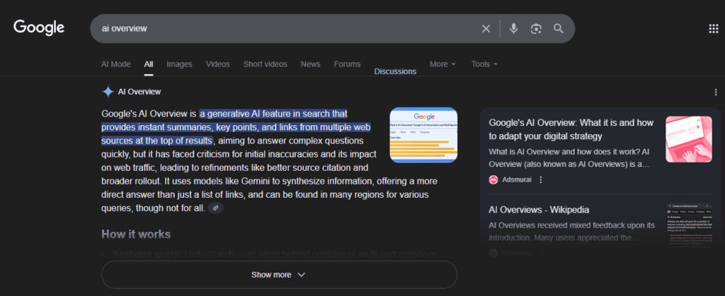 Google’s AI Overview Google’s AI Overview