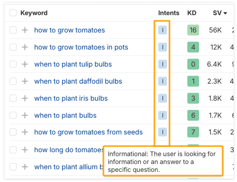 Search Intent